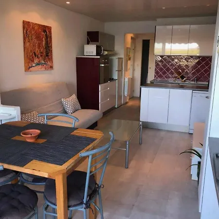 Apartment 2 Pieces Avec Clim, Terrasse Et Vue Lac - 4 Personnes, A Proximite De La Plage - Fr-1-81-393 *